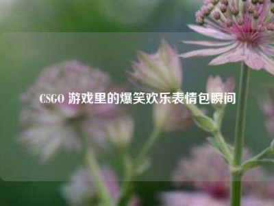 CSGO 游戏里的爆笑欢乐表情包瞬间
