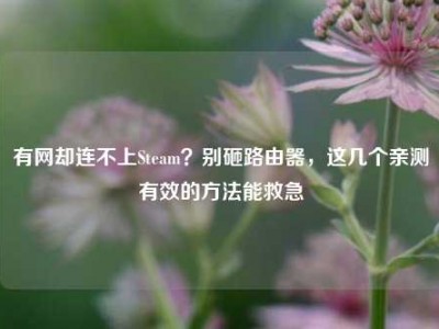 有网却连不上Steam？别砸路由器，这几个亲测有效的方法能救急