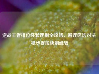 逆战王者排位经验速刷全攻略，避误区选对法 稳步提段快刷经验