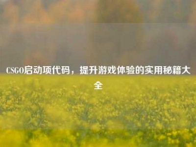 CSGO启动项代码，提升游戏体验的实用秘籍大全