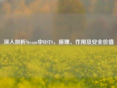 深入剖析Steam中HSTS，原理、作用及安全价值