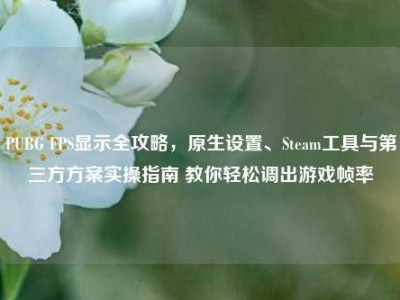 PUBG FPS显示全攻略，原生设置、Steam工具与第三方方案实操指南 教你轻松调出游戏帧率
