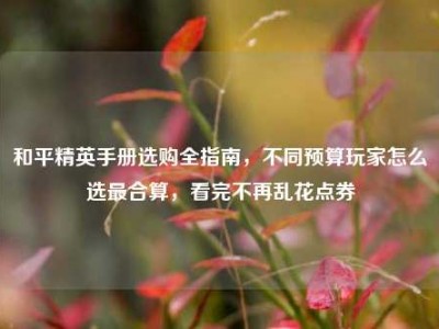 和平精英手册选购全指南，不同预算玩家怎么选最合算，看完不再乱花点券