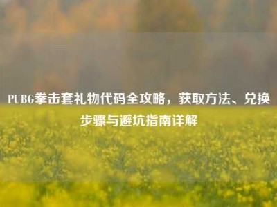 PUBG拳击套礼物代码全攻略，获取方法、兑换步骤与避坑指南详解