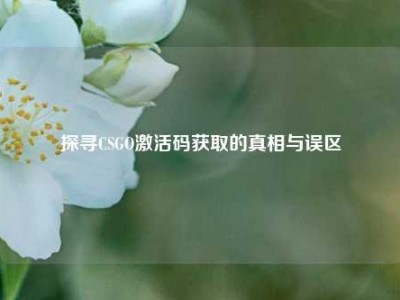 探寻CSGO激活码获取的真相与误区