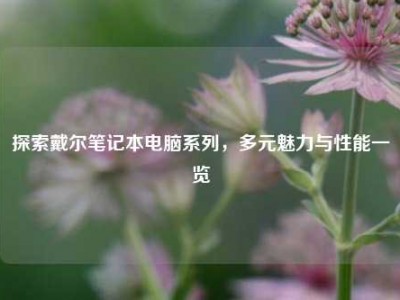 探索戴尔笔记本电脑系列，多元魅力与性能一览