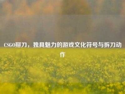 CSGO掰刀，独具魅力的游戏文化符号与拆刀动作