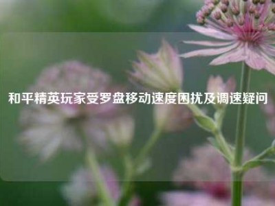 和平精英玩家受罗盘移动速度困扰及调速疑问