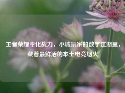 王者荣耀奉化战力，小城玩家的数字江湖里，藏着最鲜活的本土电竞烟火