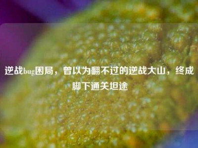 逆战bug困局，曾以为翻不过的逆战大山，终成脚下通关坦途