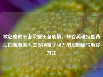 被忽略的王者荣耀王者剧情，峡谷英雄技能背后的藏着的人生你读懂了吗？附忽略剧情解除方法