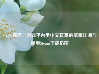 Steam墨区，游戏平台里中文玩家的笔墨江湖与墨境Steam下载指南