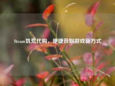 Steam饥荒代购，便捷获取游戏新方式