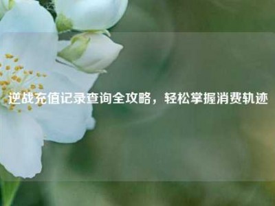 逆战充值记录查询全攻略，轻松掌握消费轨迹