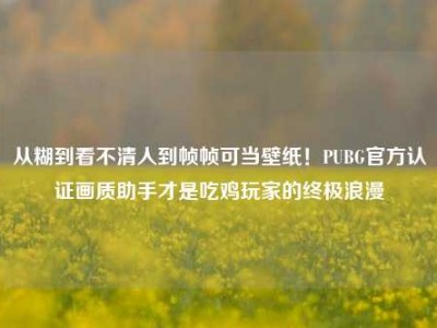 从糊到看不清人到帧帧可当壁纸！PUBG官方认证画质助手才是吃鸡玩家的终极浪漫