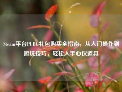 Steam平台PUBG礼包购买全指南，从入门操作到避坑技巧，轻松入手心仪道具