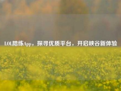 LOL陪练App，探寻优质平台，开启峡谷新体验