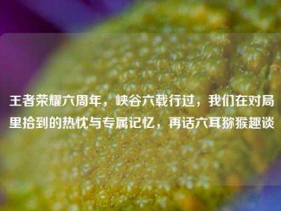 王者荣耀六周年，峡谷六载行过，我们在对局里拾到的热忱与专属记忆，再话六耳猕猴趣谈