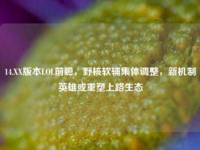 14.XX版本LOL前瞻，野核软辅集体调整，新机制英雄或重塑上路生态