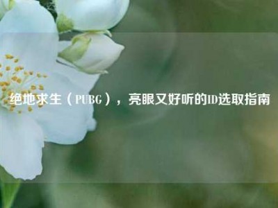 绝地求生（PUBG），亮眼又好听的ID选取指南