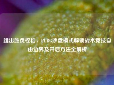 跳出胜负桎梏，PUBG沙盘模式解锁战术竞技自由边界及开启方法全解析