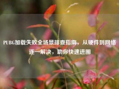 PUBG加载失败全场景排查指南，从硬件到网络逐一解决，助你快速进圈