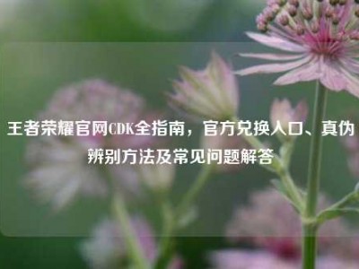 王者荣耀官网CDK全指南，官方兑换入口、真伪辨别方法及常见问题解答