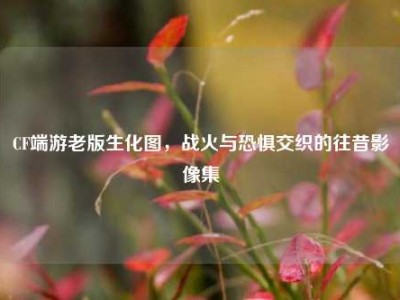 CF端游老版生化图，战火与恐惧交织的往昔影像集
