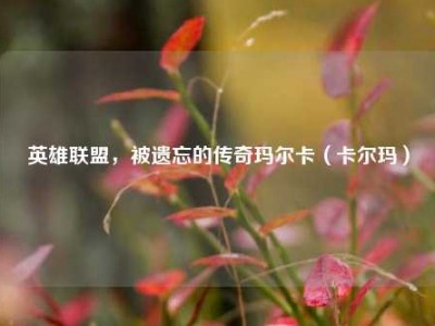 英雄联盟，被遗忘的传奇玛尔卡（卡尔玛）