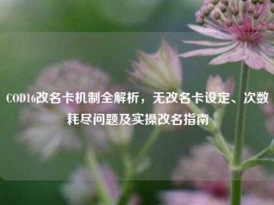 COD16改名卡机制全解析，无改名卡设定、次数耗尽问题及实操改名指南