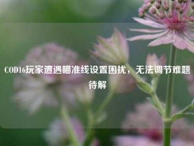 COD16玩家遭遇瞄准线设置困扰，无法调节难题待解