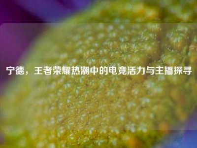 宁德，王者荣耀热潮中的电竞活力与主播探寻