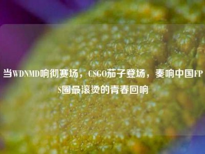 当WDNMD响彻赛场，CSGO茄子登场，奏响中国FPS圈最滚烫的青春回响