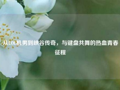 从LOL机男到峡谷传奇，与键盘共舞的热血青春征程