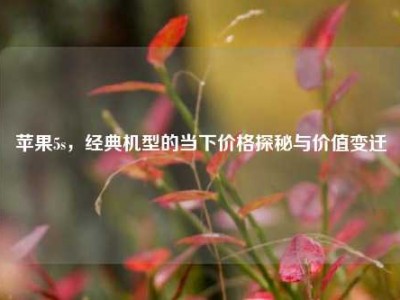 苹果5s，经典机型的当下价格探秘与价值变迁