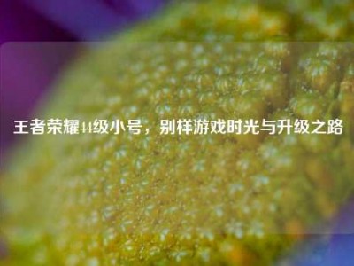 王者荣耀44级小号，别样游戏时光与升级之路