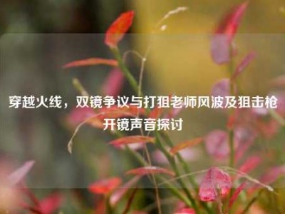 穿越火线，双镜争议与打狙老师风波及狙击枪开镜声音探讨