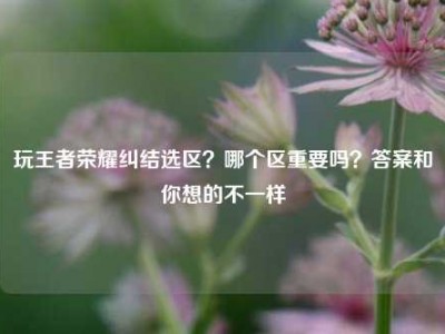玩王者荣耀纠结选区？哪个区重要吗？答案和你想的不一样