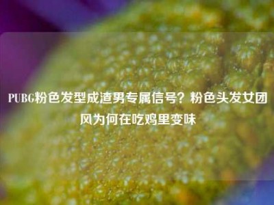PUBG粉色发型成渣男专属信号？粉色头发女团风为何在吃鸡里变味