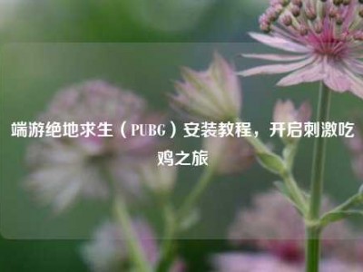 端游绝地求生（PUBG）安装教程，开启刺激吃鸡之旅