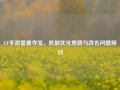 CF手游雷暴夺宝，机制优化思路与改名问题探讨