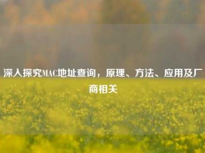 深入探究MAC地址查询，原理、方法、应用及厂商相关