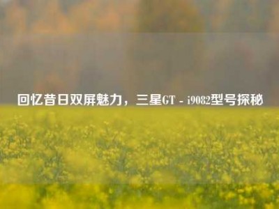 回忆昔日双屏魅力，三星GT - i9082型号探秘
