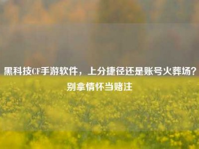 黑科技CF手游软件，上分捷径还是账号火葬场？别拿情怀当赌注