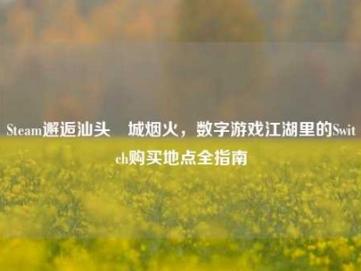 Steam邂逅汕头鮀城烟火，数字游戏江湖里的Switch购买地点全指南