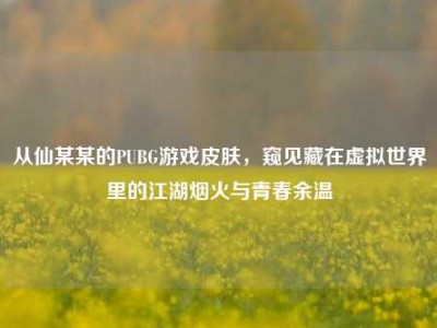从仙某某的PUBG游戏皮肤，窥见藏在虚拟世界里的江湖烟火与青春余温
