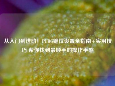 从入门到进阶！PUBG键位设置全指南+实用技巧 帮你找到最顺手的操作手感