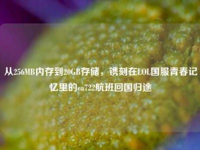 从256MB内存到20GB存储，镌刻在LOL国服青春记忆里的ca722航班回国归途