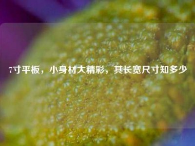 7寸平板，小身材大精彩，其长宽尺寸知多少