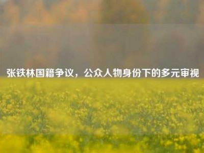 张铁林国籍争议，公众人物身份下的多元审视
